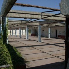 _mg_5333.jpg