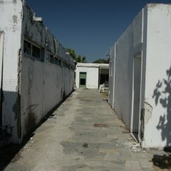 _mg_5335.jpg
