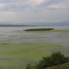 donau06_018.jpg