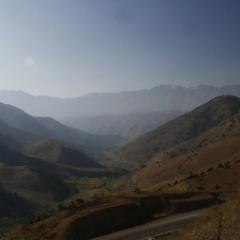 _mg_6910.jpg