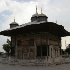 _mg_5417.jpg