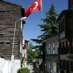 _mg_5431.jpg
