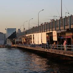 _mg_5451.jpg