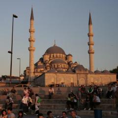 _mg_5452.jpg