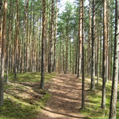 polenbaltikum08_038.jpg